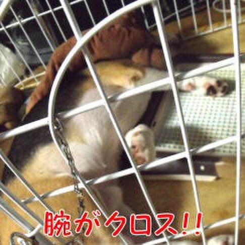 014d323c 8c57 4e06 aea2 16328f095f62 1694574850691