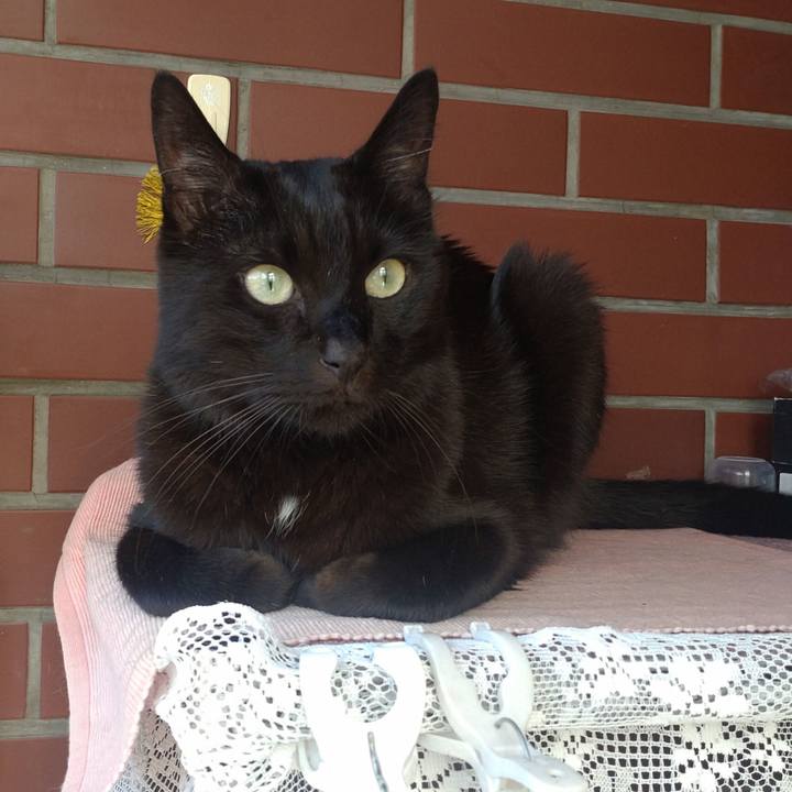 014d37fe d9de 4d38 86f9 a20d2e414bad 1757910248893