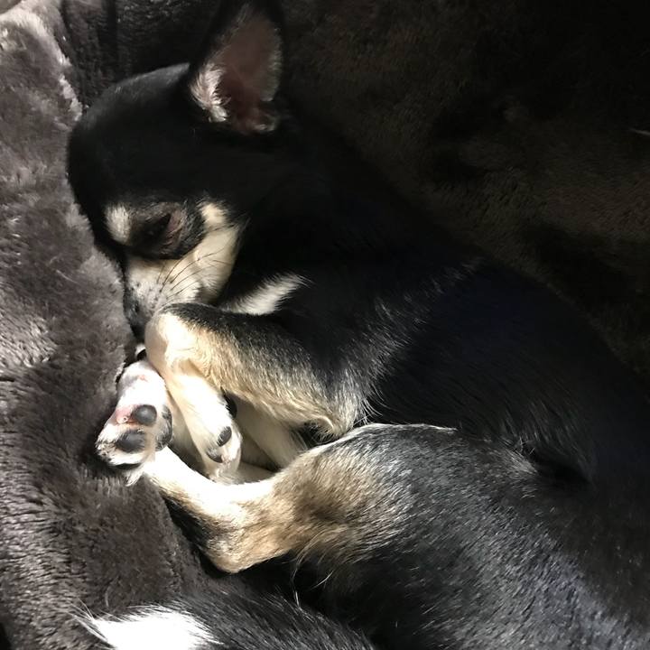 014d3802 c951 499d 8653 ac98b2471e6d 1519036287234