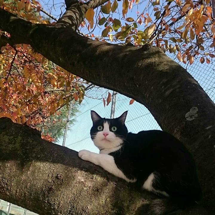 014d75f2 e3e7 4038 97ba 1b5a554cbab4 1543497991869