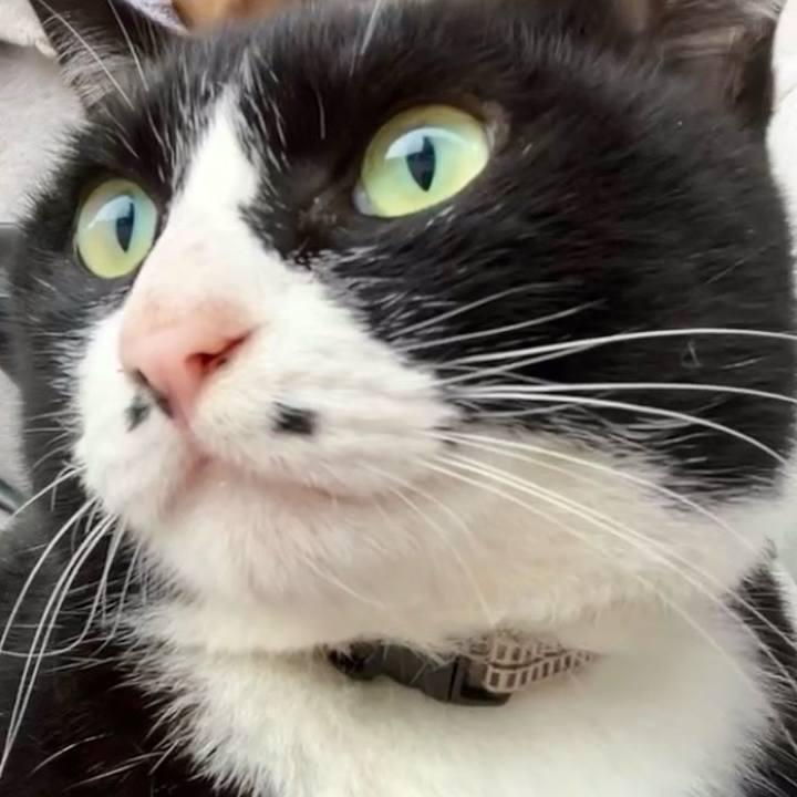 014d7ac6 196e 4ab5 b8c0 d6fe192931ac 1743129483000