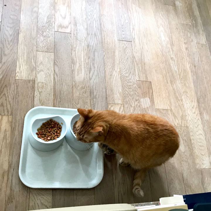 014d7f47 c73b 4c2c be0f ce627509149c 1562853109789