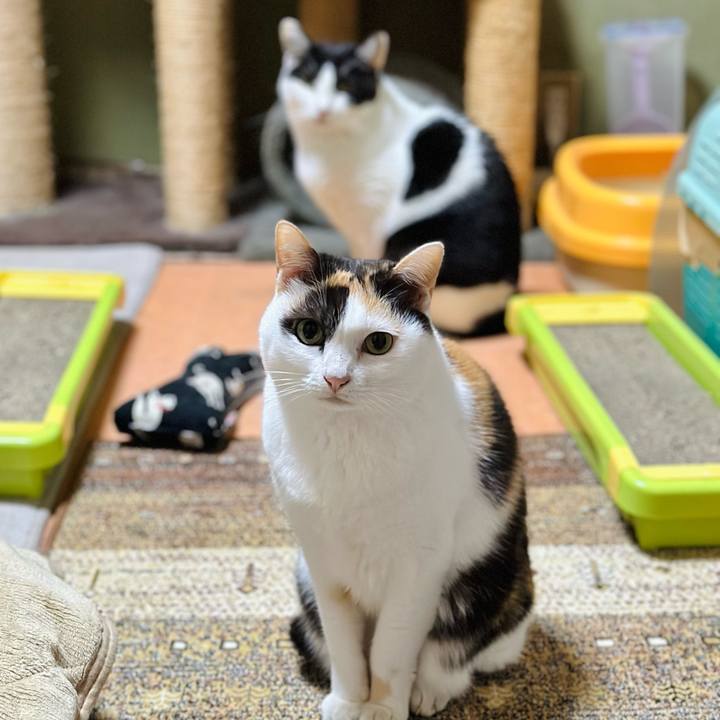 014dc96c e75e 4c20 a86c 1c02b3c5b037 1700969038641