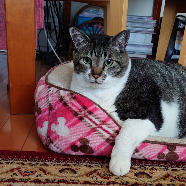 014e198b 3ec8 41cf bc16 67bb9c224313 1611312403528