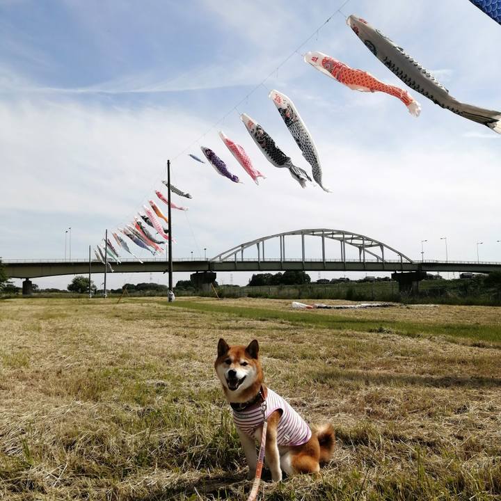 014e415f 92de 4429 96bc 5ef90d3951ea 1683632067573