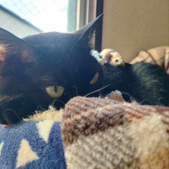 014e5b43 840f 482b 9246 c0772520b4f8 1639794537325