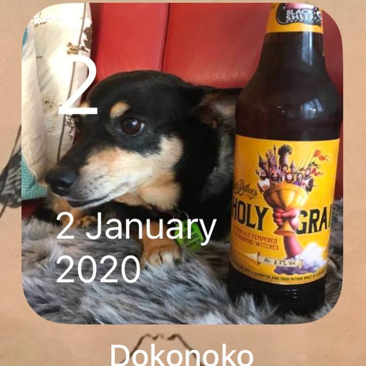 014e6e04 5c1a 4ee0 a90d d25ec1b555eb 1767312766585