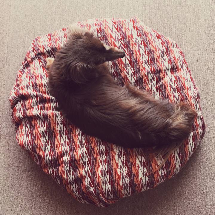 014e7caf 37d6 4d35 a467 e699a914dae7 1526602314341