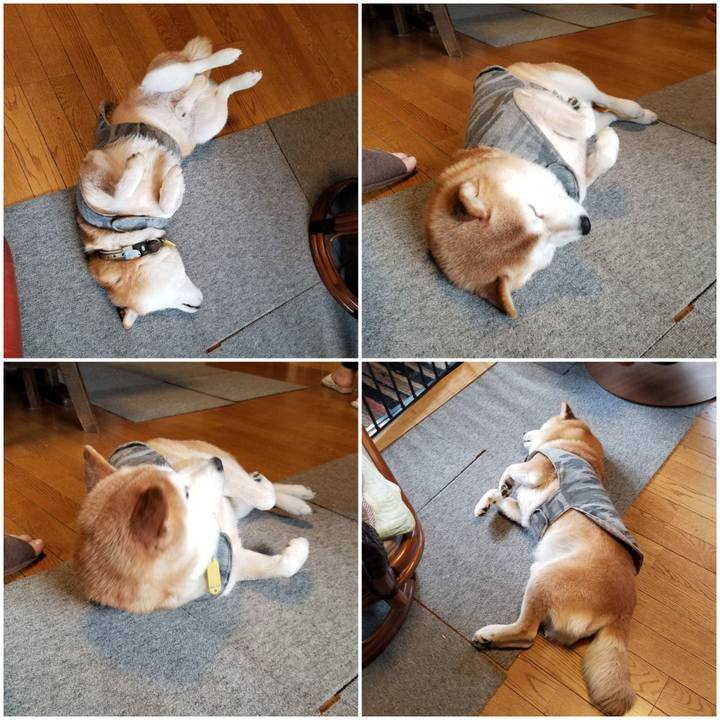 014ea0c7 cd00 4e7b ad7f eb79b58d86e3 1644621659425