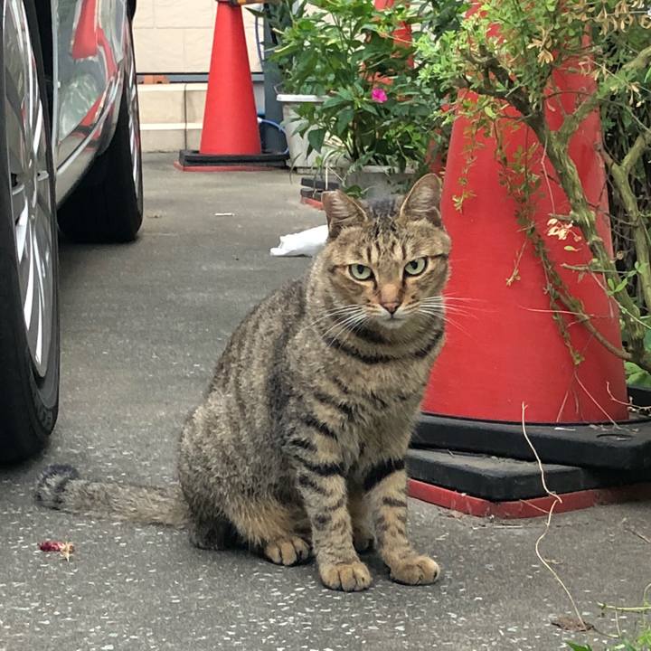 014ee75b 4a4d 4fb1 a83c e28a2f6120c3 1536072526563