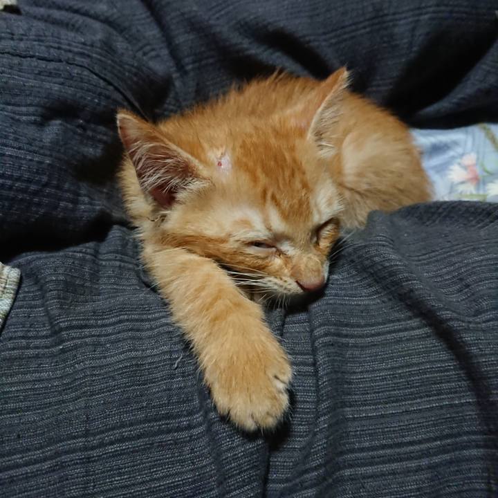 014f0399 b197 426e ba29 656a273952c8 1628542441473