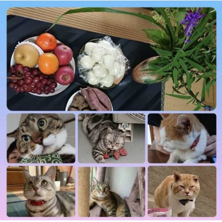 014f2daa 50d6 4808 8189 bde0c02ee613 1758343294475