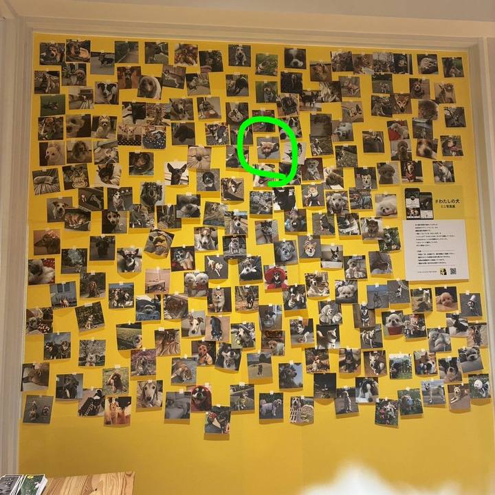 014f67be bc31 4b71 b0ab efeda55752f9 1774992163389