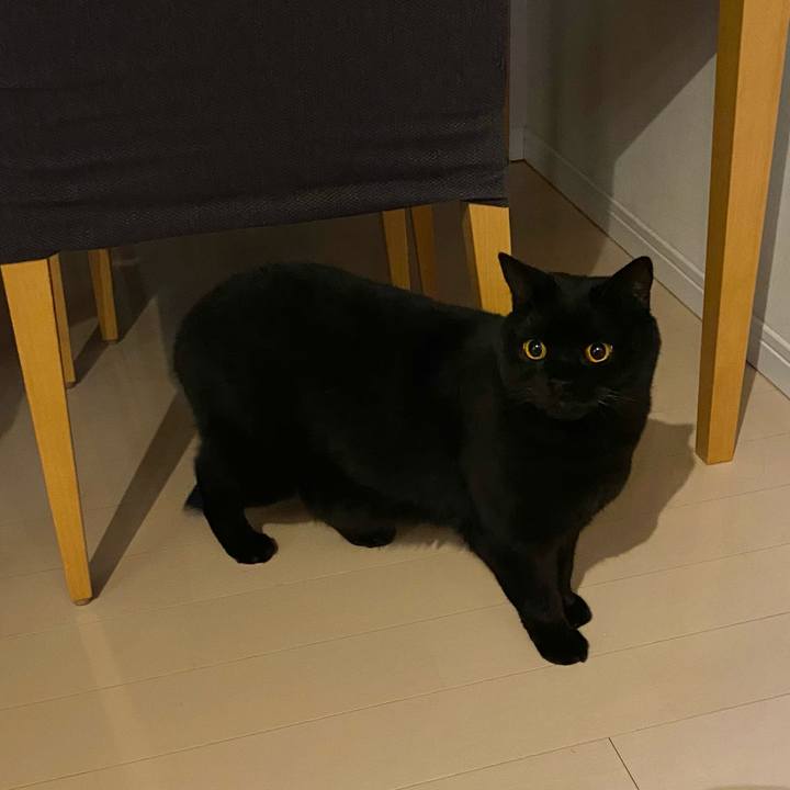 014fd47d c20b 4410 82eb 95658c4c20fc 1606656998052