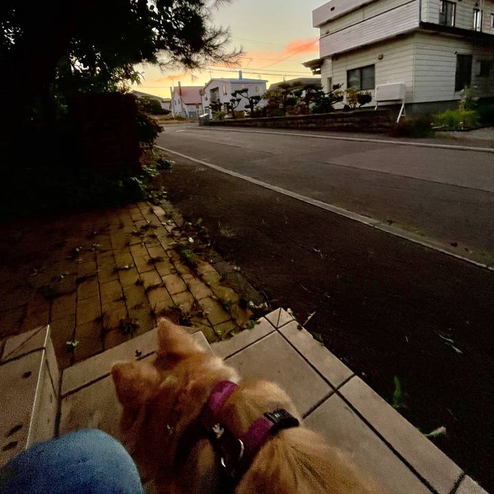 014fe2dc df0f 4a38 a93f 66c158018252 1759151701448