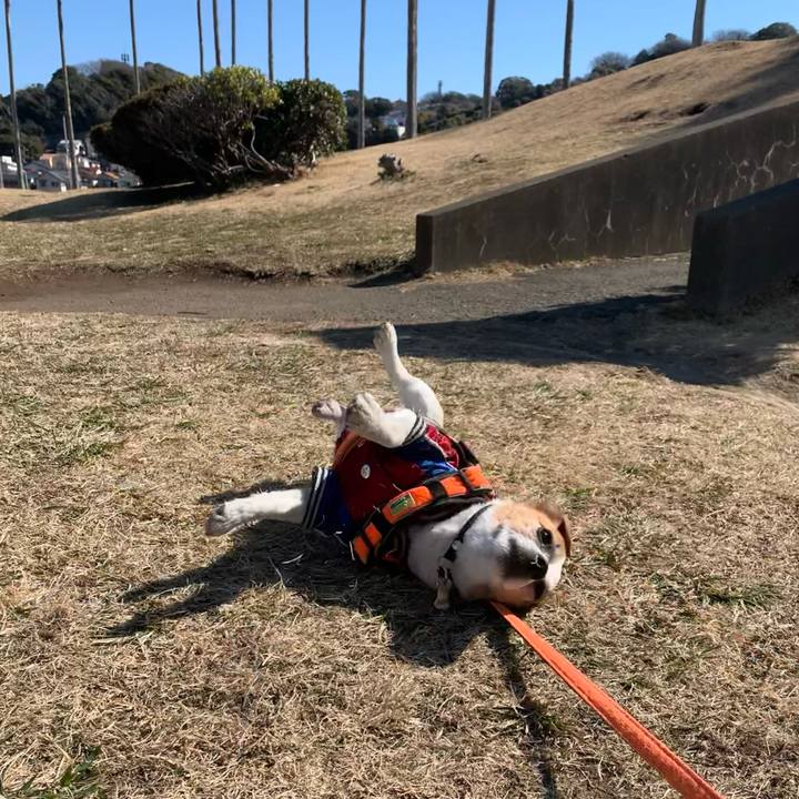 014ff114 c856 491d 969e d84bfdc9908b 1645841015842