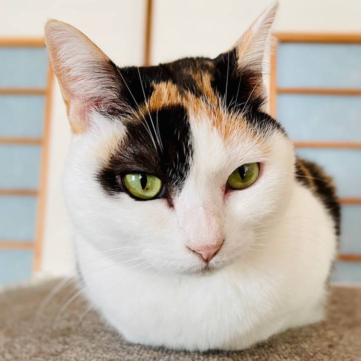 01500333 48b6 448d ab4b 42db8ab458ed 1609639968972