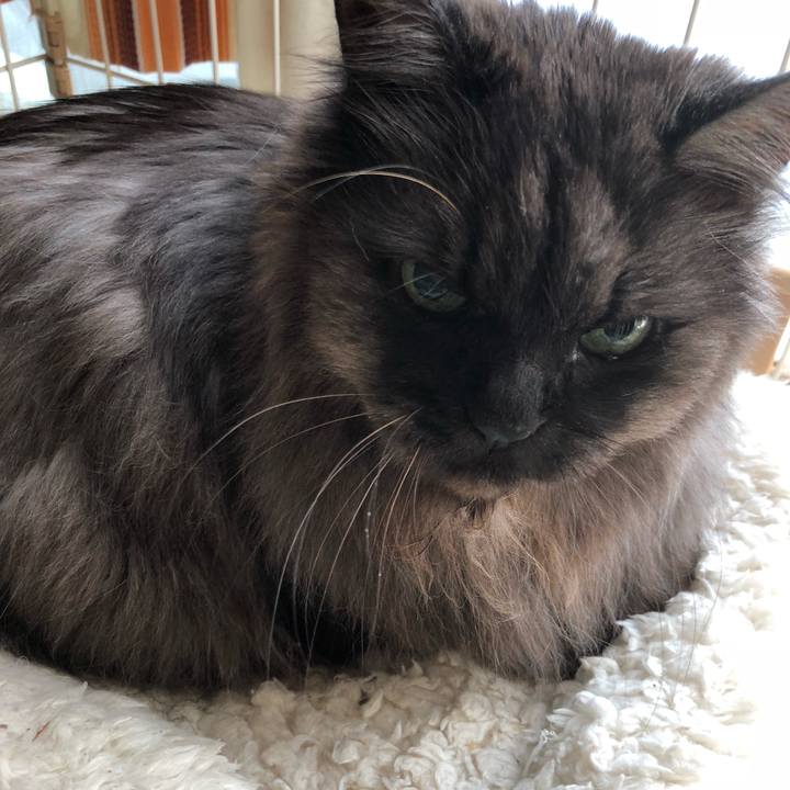 01500c27 0b66 422a 8eb3 01363881f306 1521938782661