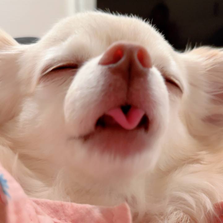 015027dc 8954 4247 b50b 20544a2b00c0 1745320199820