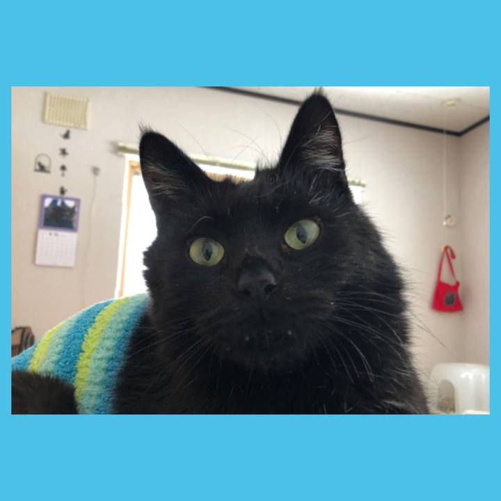 01503358 b60c 47e1 8851 d77083b2f783 1609295751454