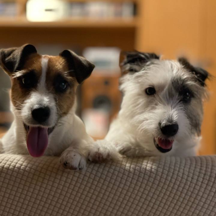 015036bf 45b3 4f7b 9c57 0117dbf34e16 1658576329113