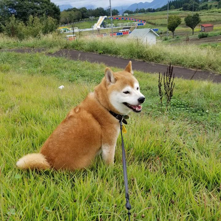 01505618 a900 46c6 bdac c0d732794c07 1600496533483