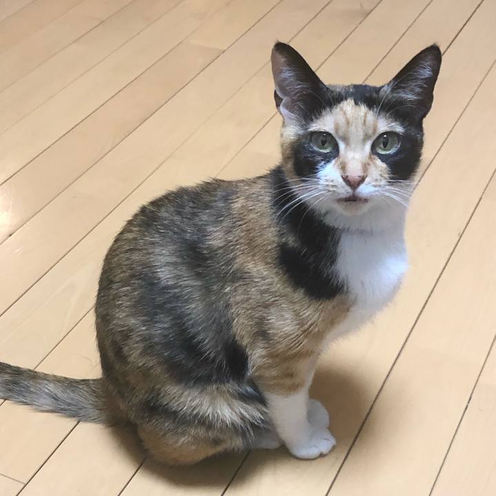 01506262 3fa8 44f2 b730 bf2526a7d1a9 1605853281956