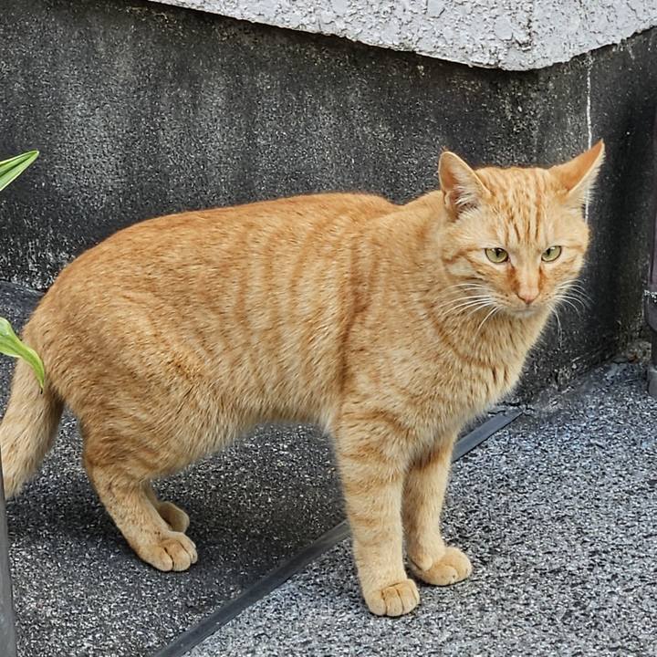 01511921 b6a8 4672 9a46 af8a71d234b3 1739791641290