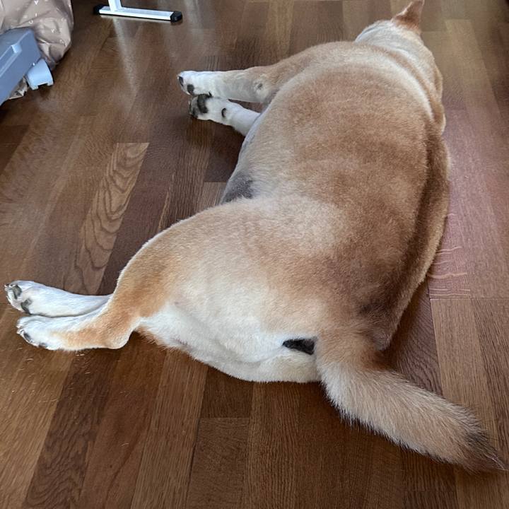 015132a4 a810 46b0 bfe3 a52683c888d1 1726106035874