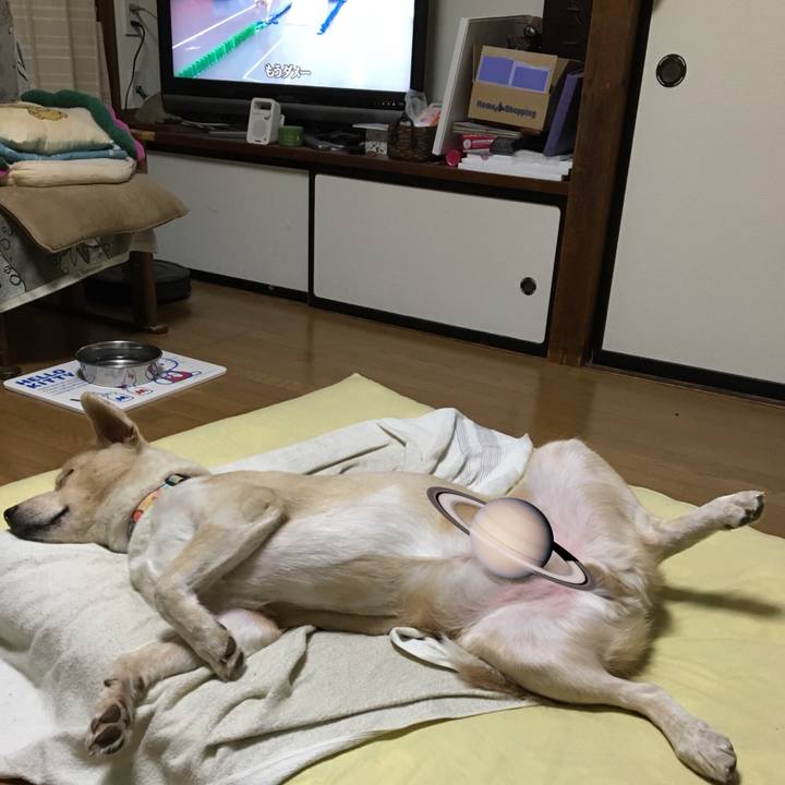 01514569 6049 4bbc 8db7 800bef3da86a 1533129329559