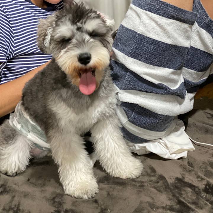 0151622d 79e7 47c2 93f3 4132a65f4d0d 1576420235670