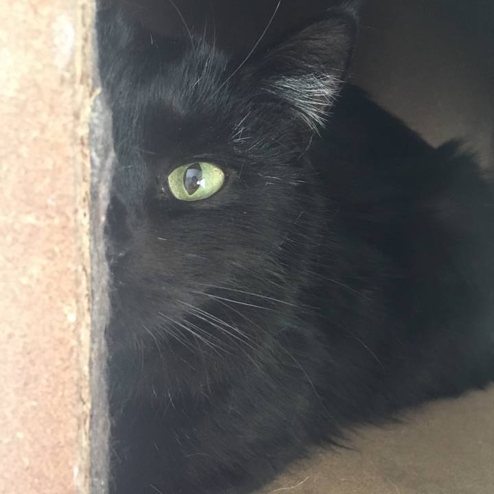 01516faa 6205 4437 8771 d5335ba3b4a1 1546141610441