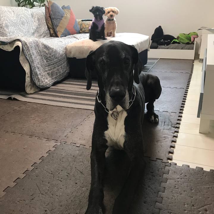 01519e04 6f56 4ce1 a01e e0e6a85fbeed 1525214656519