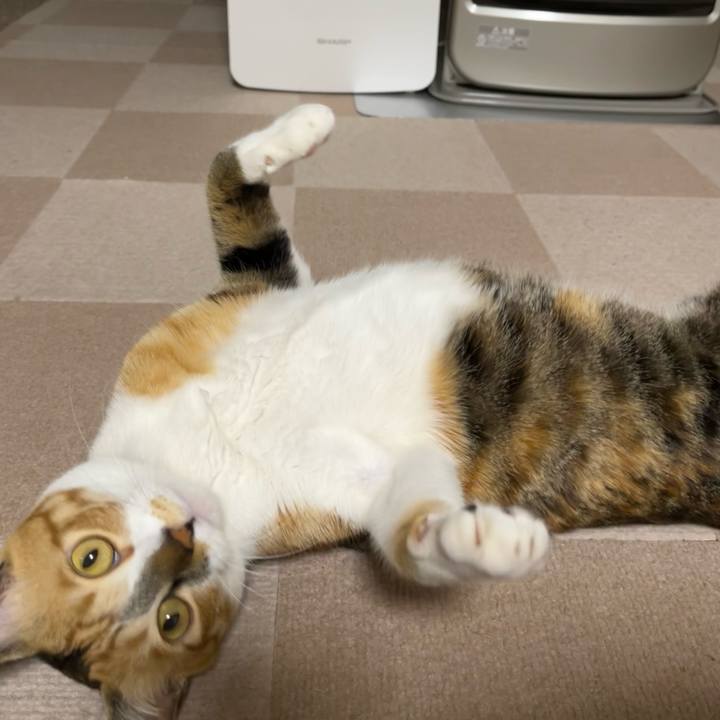 0152663e 2ea7 4809 905d 080165ecc888 1739663907830