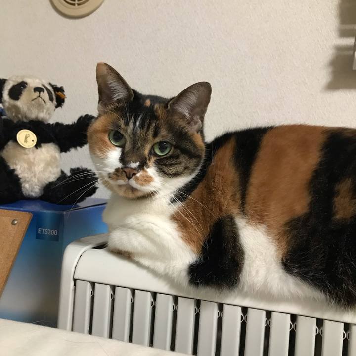 01528bed b5be 457f b760 9976112b58da 1643909154178