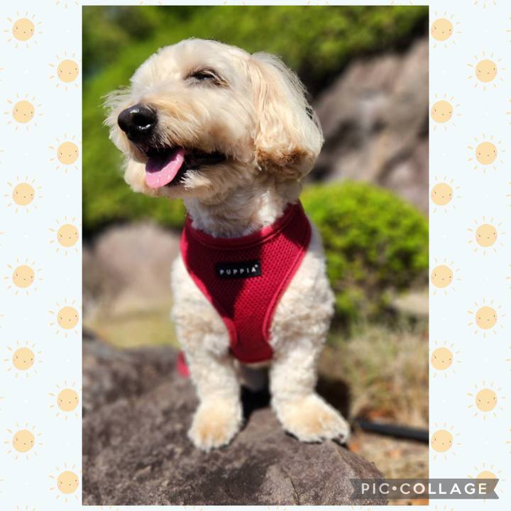 0152a1df 795a 473b ba71 8393cfc996fb 1761196321737