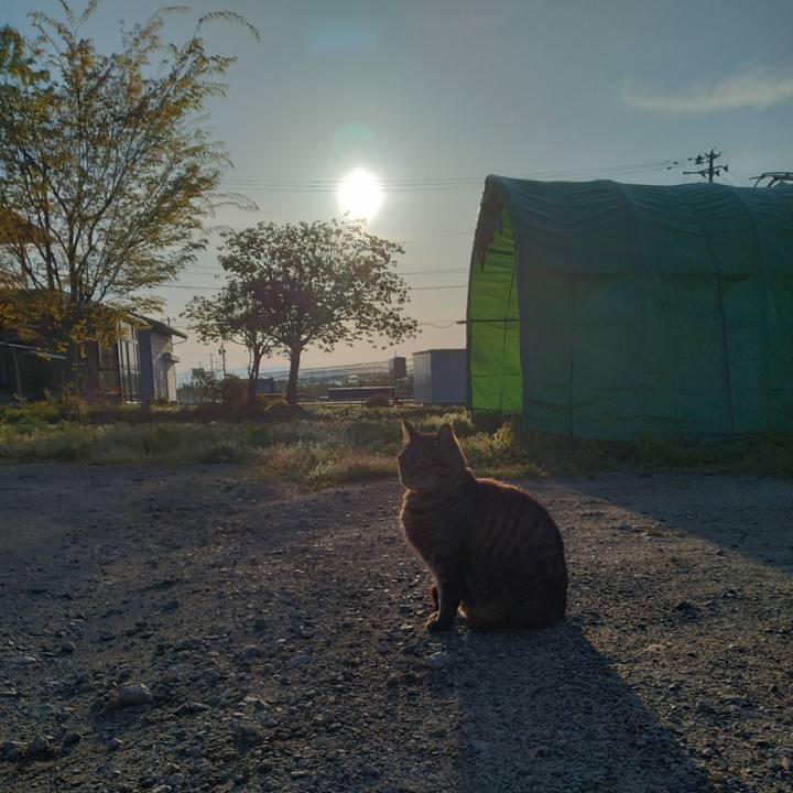 0153a824 1345 4ca6 a0d6 92f465f10e60 1683067027966