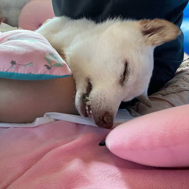 0153ba26 92fa 4b66 bfcc 8fb80fc9e8ea 1689906286256