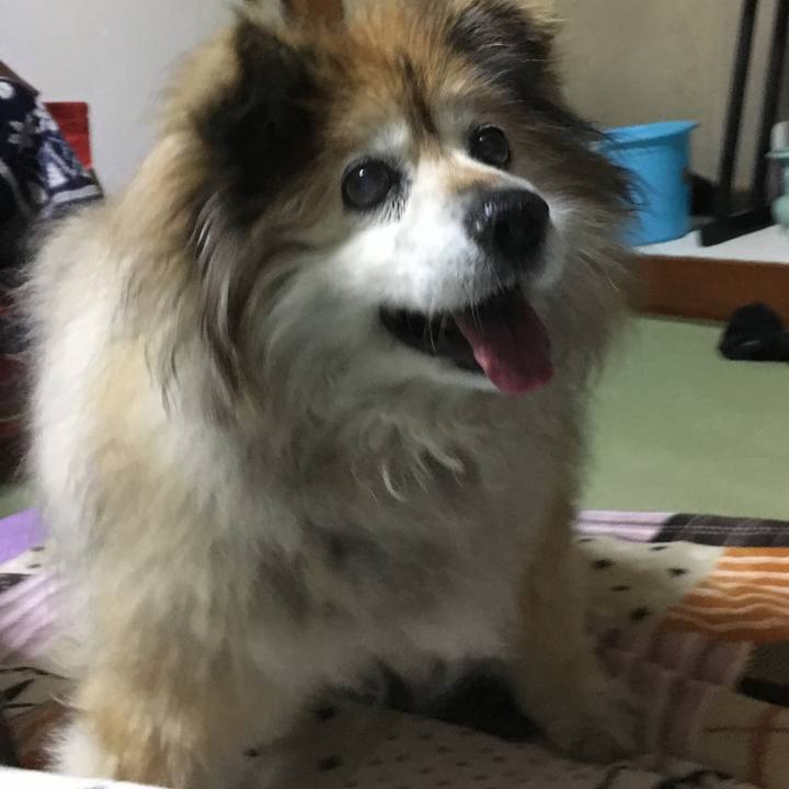 0153cfbd 32af 4e5f 8b37 8553bc2425f7 1600633299550