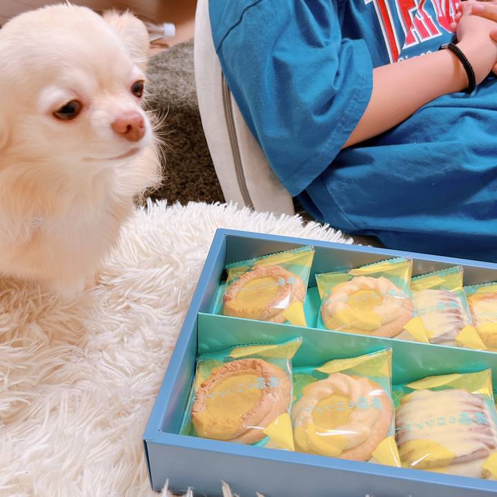 01541bb9 72e4 447f ad2a e7ef2bd140ea 1654171520543