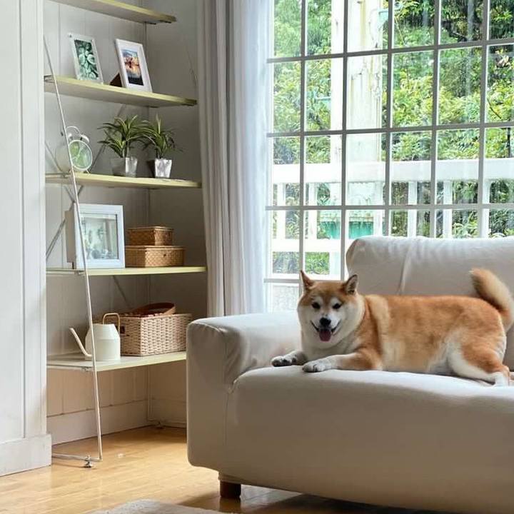 01543512 b2e3 4cdf 8ea5 ed94d91e69d7 1686956559441