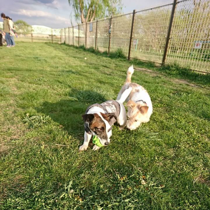 01544b99 824e 4a04 b673 da5061c2ebb5 1523176838738