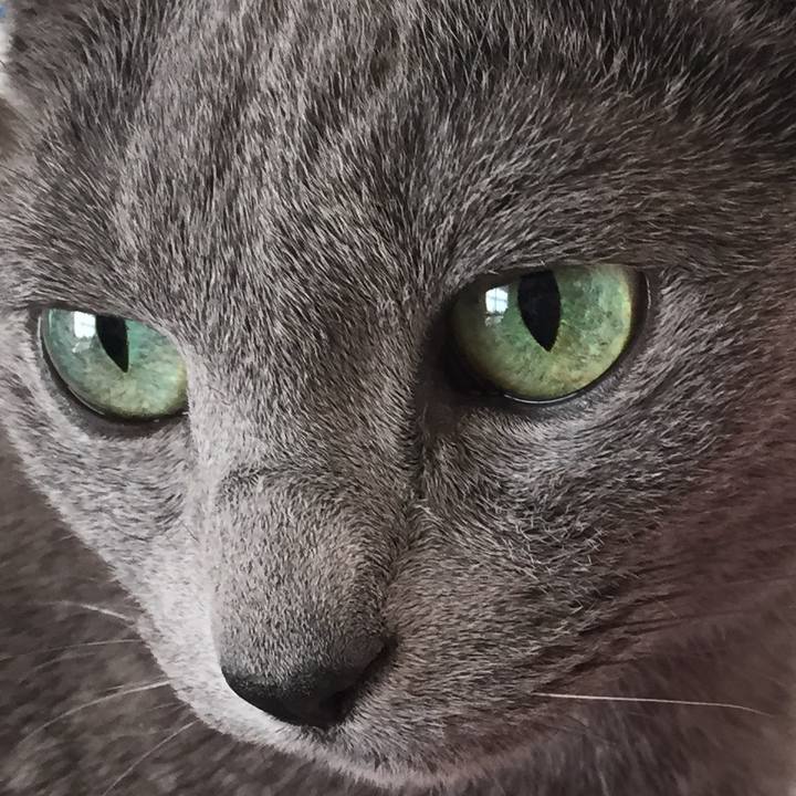 015466ed c3a8 4912 81ce befe15052934 1519457587524