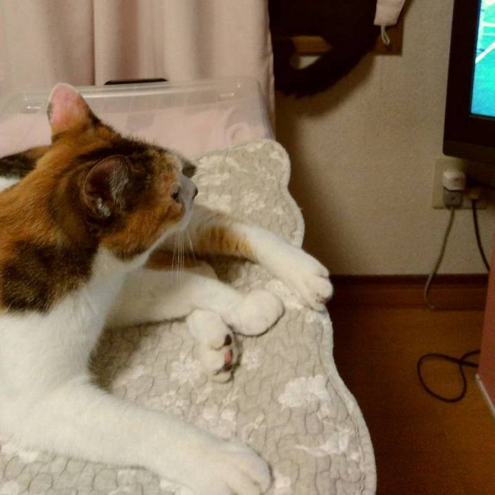 01548d8d f875 4679 be00 006f9eead6ea 1693920463626