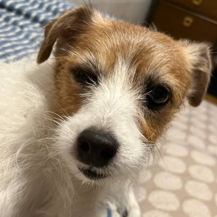 01549041 8377 47c8 b47d 13f4e235c2d3 1699012804362