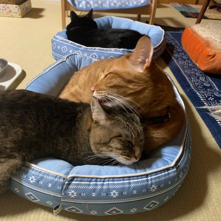 0154e837 1727 41e6 8f3e 00e670f72b0c 1565771601808