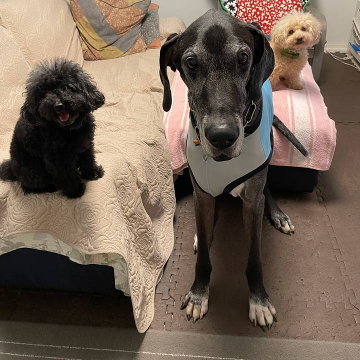 015501e0 739b 4efd 92e2 d44503b47842 1627338857960