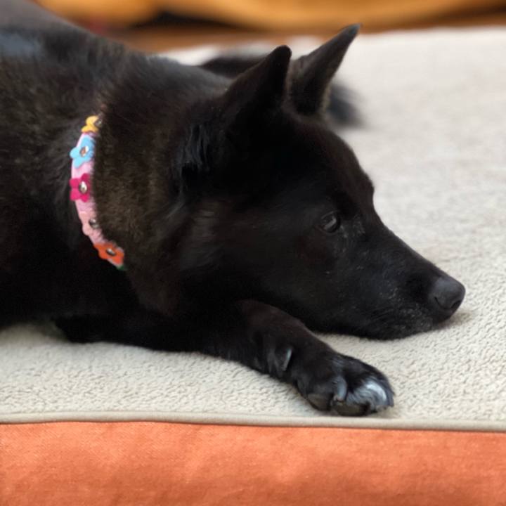 01552fe2 3cd8 48a6 ac6c aa43c15d14dd 1720308484234