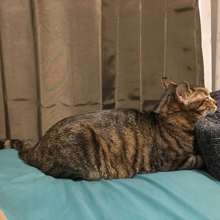 01554e86 99e0 46b0 b0d6 6ce71bd6a9fe 1525018996860