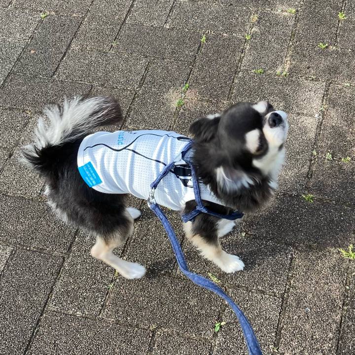 01555be8 72b2 434e b37a 0d7d7ee897d1 1683387730926